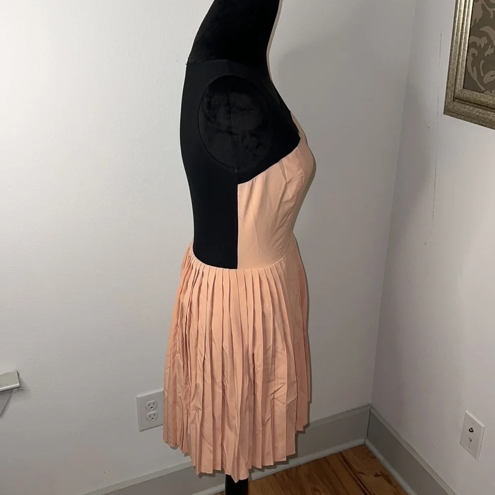 Ark & Co. sz S‎ pleated mini dress black stretch net sheer top
